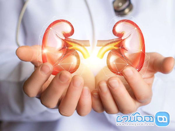 تشخیص سنگ کلیه در کمتر از 30 دقیقه